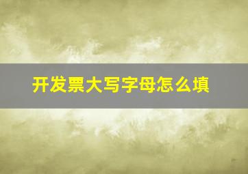 开发票大写字母怎么填