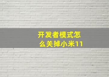 开发者模式怎么关掉小米11