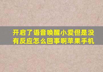 开启了语音唤醒小爱但是没有反应怎么回事啊苹果手机