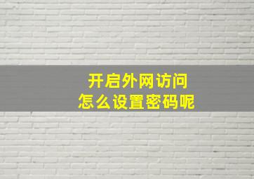 开启外网访问怎么设置密码呢