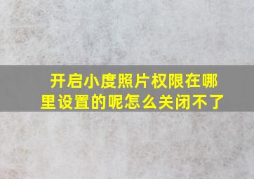 开启小度照片权限在哪里设置的呢怎么关闭不了