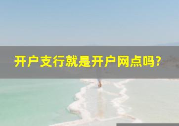 开户支行就是开户网点吗?