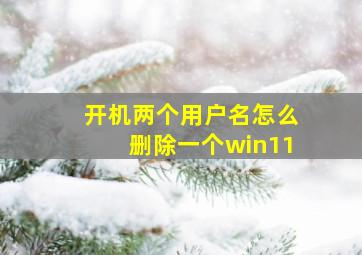 开机两个用户名怎么删除一个win11