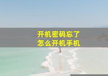 开机密码忘了怎么开机手机