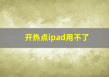 开热点ipad用不了