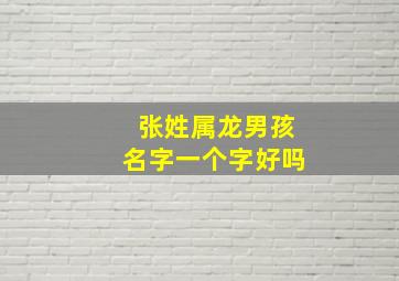 张姓属龙男孩名字一个字好吗