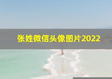 张姓微信头像图片2022