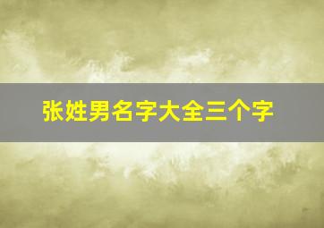 张姓男名字大全三个字