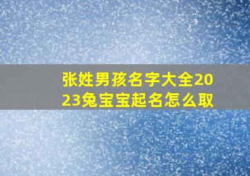 张姓男孩名字大全2023兔宝宝起名怎么取