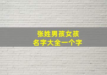 张姓男孩女孩名字大全一个字