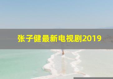 张子健最新电视剧2019