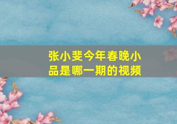 张小斐今年春晚小品是哪一期的视频