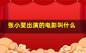 张小斐出演的电影叫什么