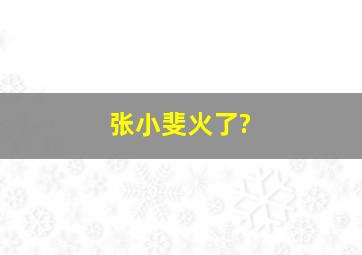 张小斐火了?