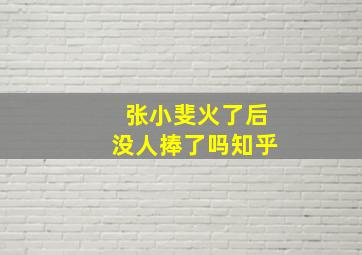 张小斐火了后没人捧了吗知乎