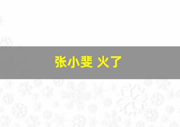 张小斐 火了