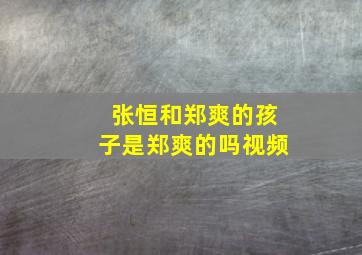 张恒和郑爽的孩子是郑爽的吗视频