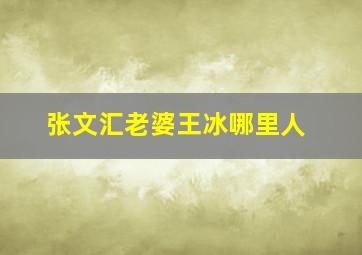 张文汇老婆王冰哪里人