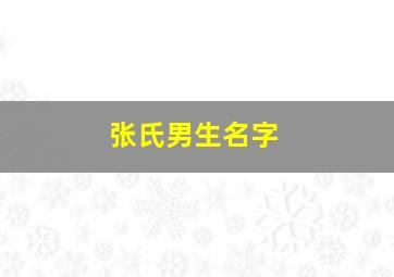 张氏男生名字