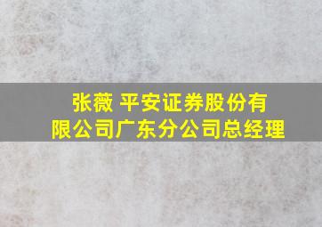 张薇 平安证券股份有限公司广东分公司总经理