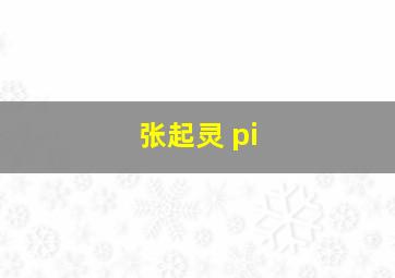 张起灵 pi