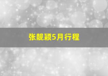 张靓颖5月行程