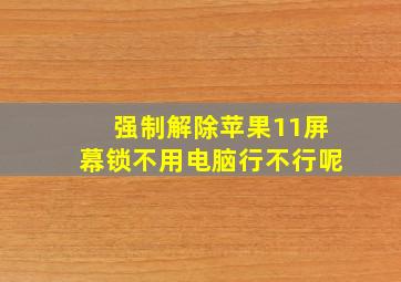 强制解除苹果11屏幕锁不用电脑行不行呢