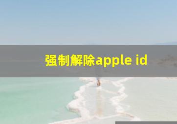 强制解除apple id