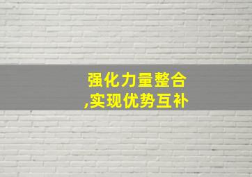 强化力量整合,实现优势互补