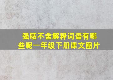 强聒不舍解释词语有哪些呢一年级下册课文图片