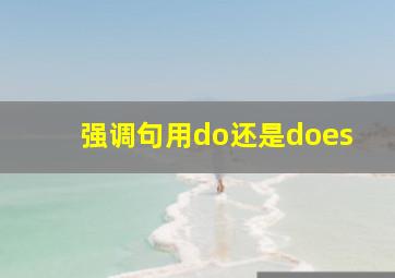 强调句用do还是does