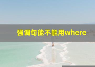 强调句能不能用where