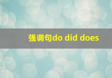 强调句do did does