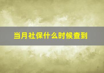 当月社保什么时候查到