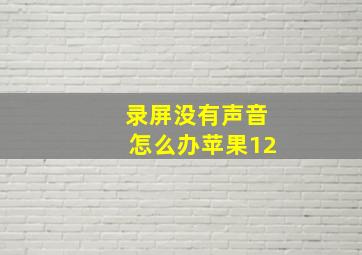 录屏没有声音怎么办苹果12