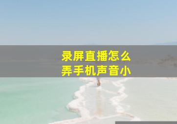 录屏直播怎么弄手机声音小