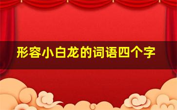 形容小白龙的词语四个字