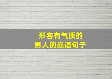 形容有气质的男人的成语句子