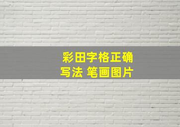 彩田字格正确写法 笔画图片