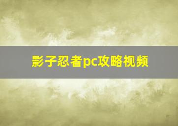 影子忍者pc攻略视频