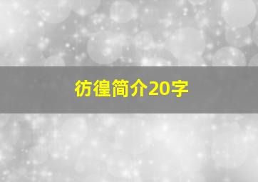 彷徨简介20字