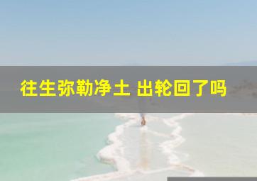 往生弥勒净土 出轮回了吗