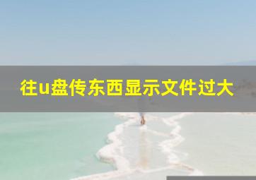 往u盘传东西显示文件过大