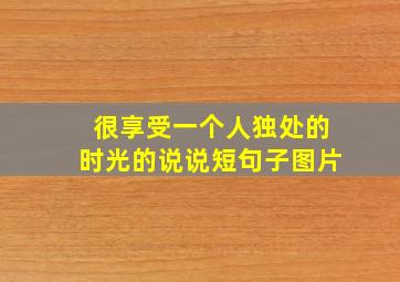 很享受一个人独处的时光的说说短句子图片