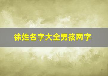 徐姓名字大全男孩两字