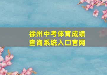 徐州中考体育成绩查询系统入口官网