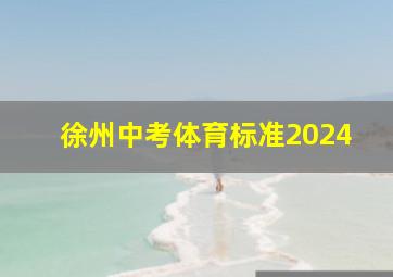 徐州中考体育标准2024