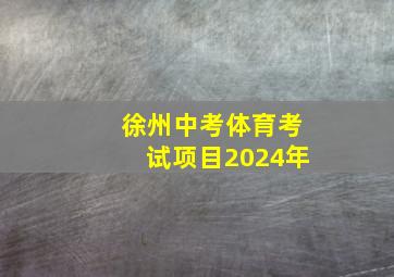 徐州中考体育考试项目2024年