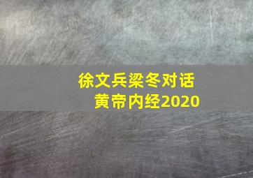 徐文兵梁冬对话黄帝内经2020