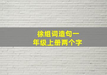 徐组词造句一年级上册两个字